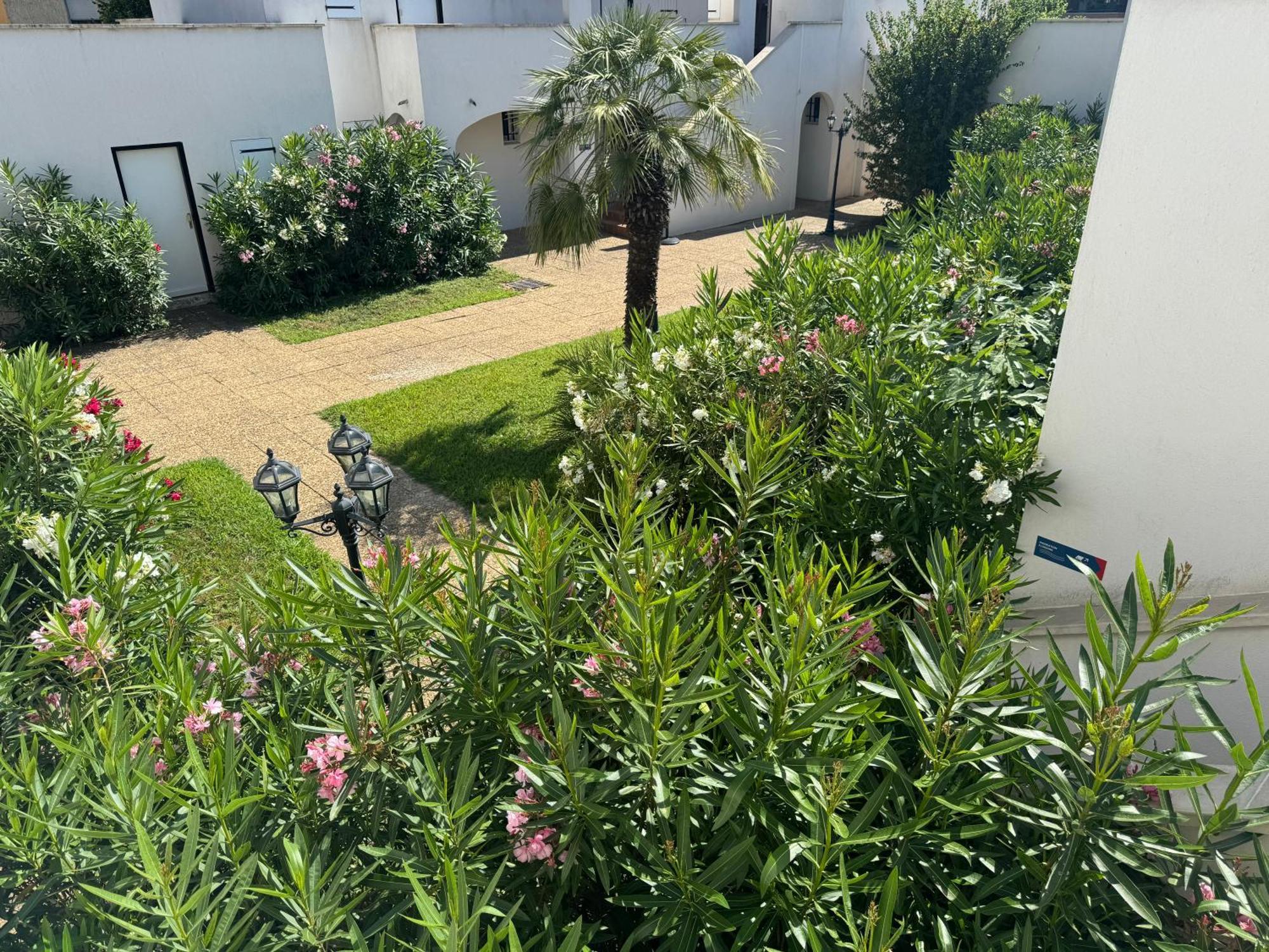 Beach Cannes Bungalows ル·カネ エクステリア 写真