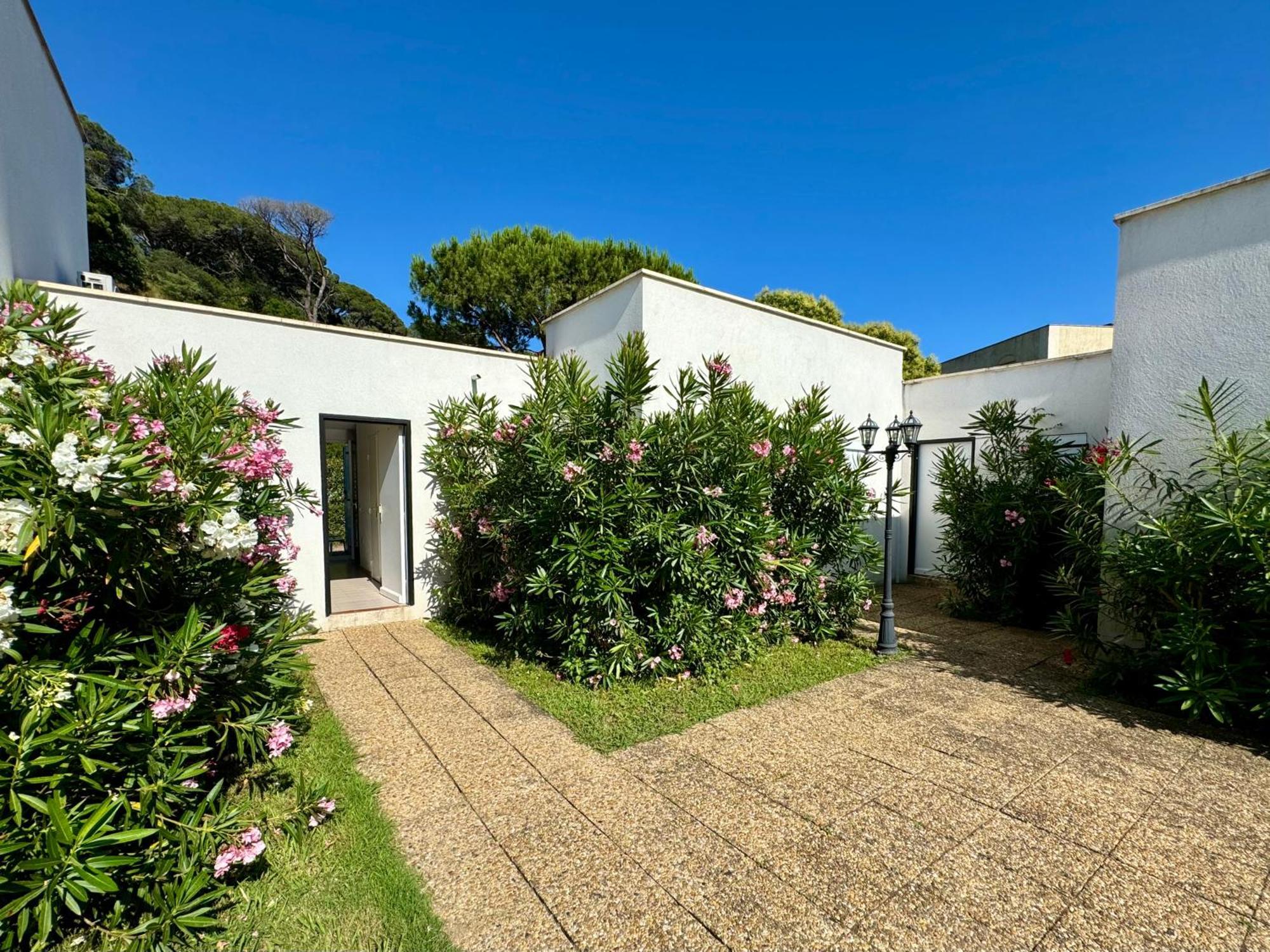 Beach Cannes Bungalows ル·カネ エクステリア 写真