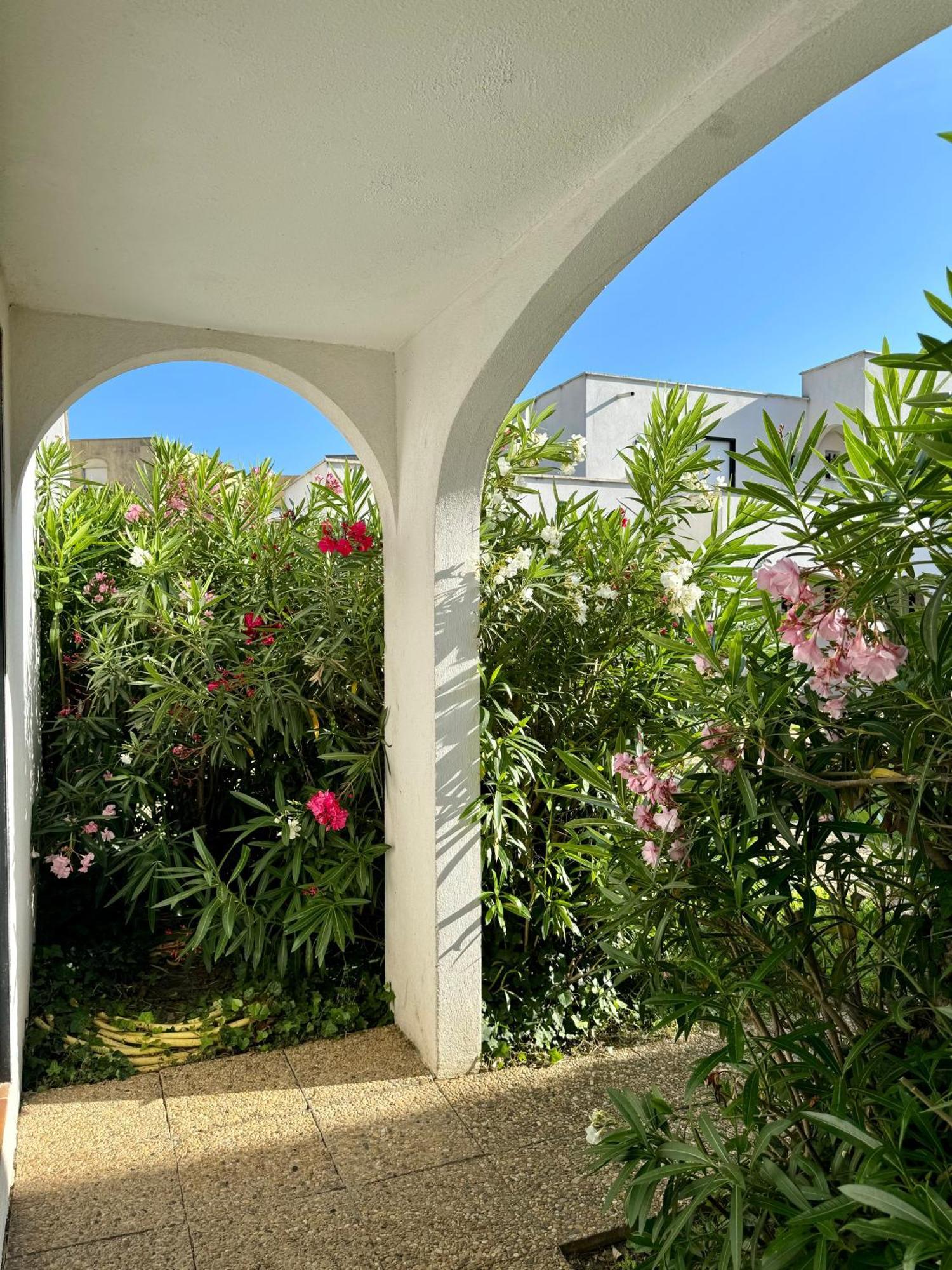 Beach Cannes Bungalows ル·カネ エクステリア 写真