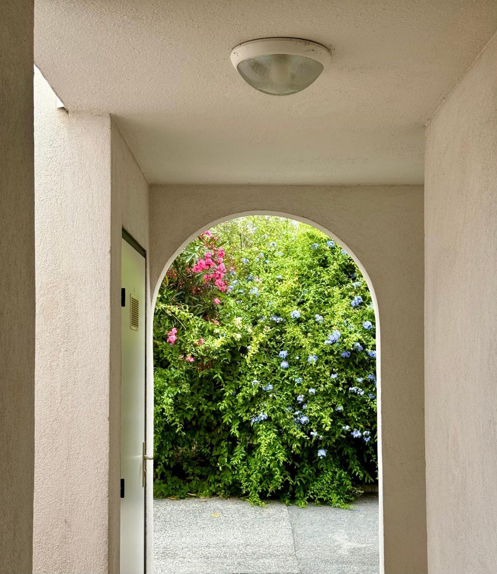 Beach Cannes Bungalows ル·カネ エクステリア 写真