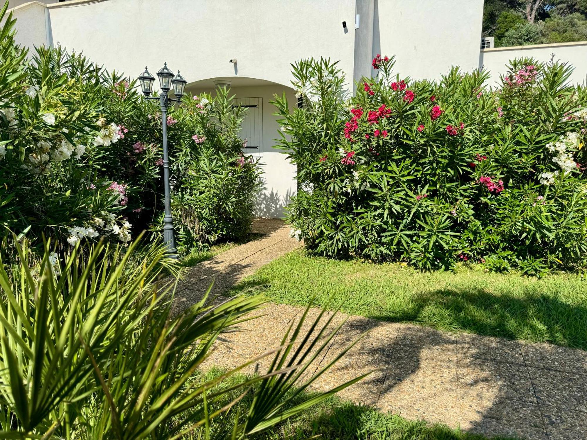 Beach Cannes Bungalows ル·カネ エクステリア 写真